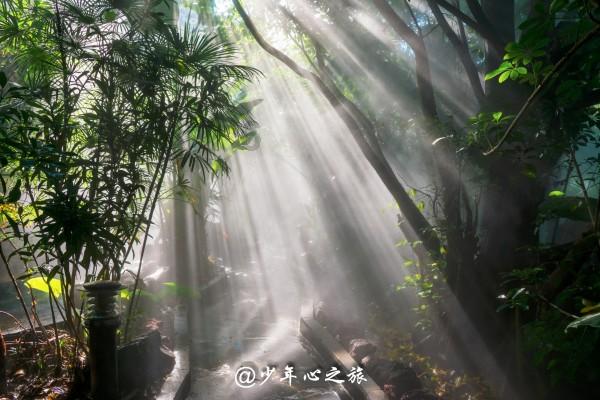 世界海拔最高的火车站唐古拉站，为何乘客不被允许在停靠站下车？游戏画面